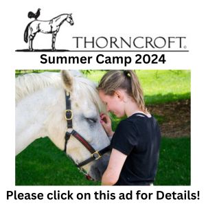 Thorncroft-Summer Camp Promo