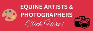 Equine Artists & Photographers