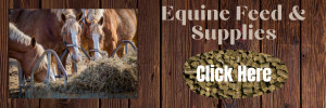 Equine Feed & Supplies Click Here