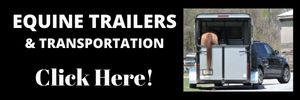 Trailers & Equine Transportation 