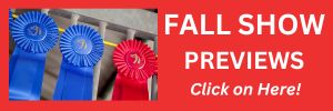Fall Show Previews 2025