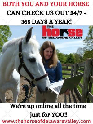 You & Your Horse Promo ad