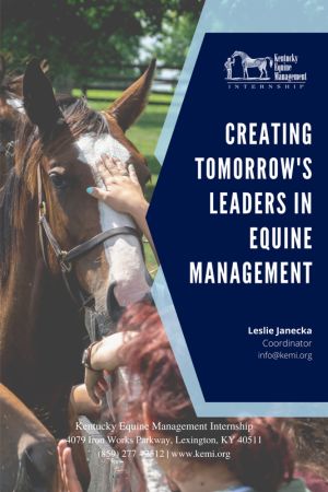 KY Management 300x450