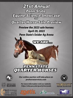 Penn State Quarter Horse