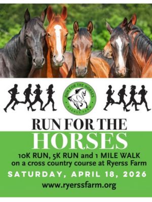 Ryerss Run 300x400 - general