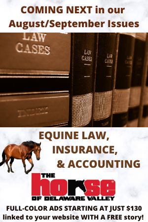 Equine Law Promo