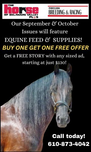 Equine Feed Promo