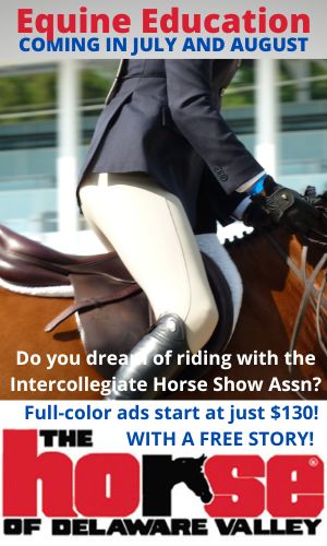 Equine Education Promo Ad