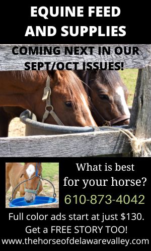 Equine Feed & Supplies Promo Ad