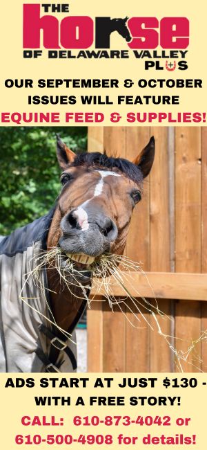 Equine Feed Promo 2025
