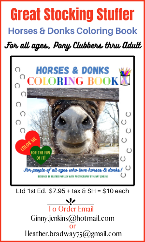 Horse & Donks Coloring Book