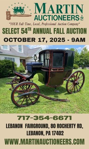 Martin Auctioneer 