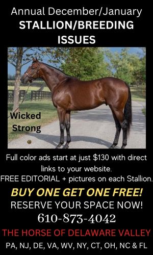 Stallions Promo Ad