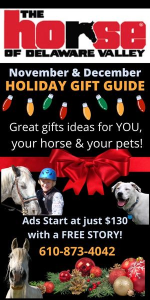 Holiday Gift Guide Promo 2023