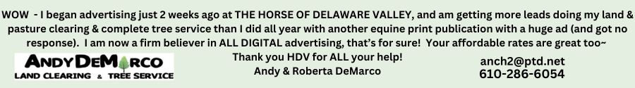 DeMarcoTestimonialHODV