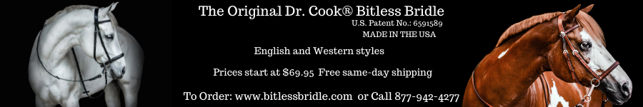 Dr. Cooks-Bitless Bridle
