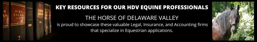Equine Law+ header