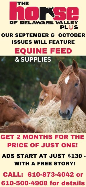 Equine Feed Side Bar ad promo 2026