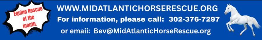 Equine Rescue of the Month