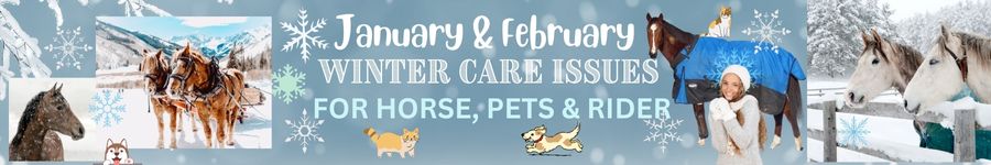 Winter Care Banner Top