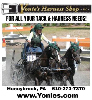 Yonies Harness 