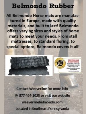 Belmondo Rubber