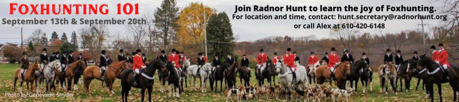 Fox Hunting 101