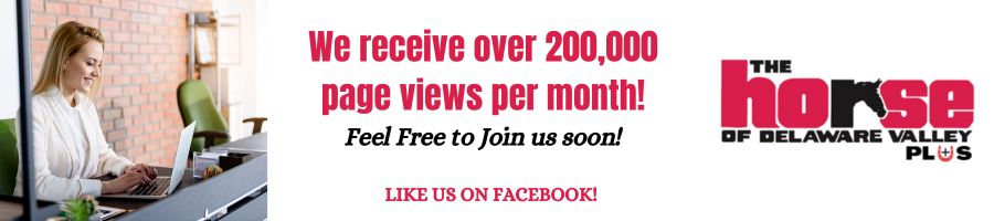 We receive over 200000 page views per month