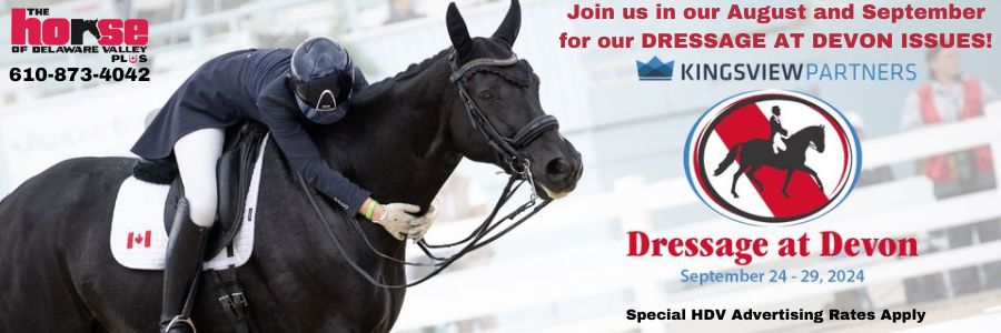 DAD Promo Ad 900 x 300 SSUES