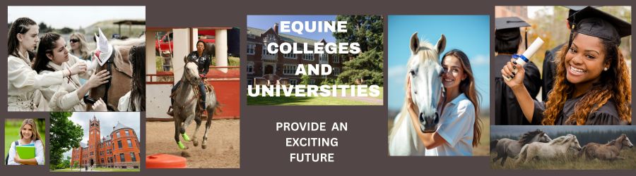 Equine Colleges and Universities