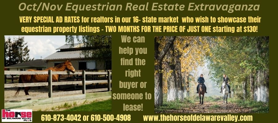 Real Estate Extravaganza