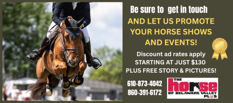 Horse Show Promo - Bottom of Page 900x400