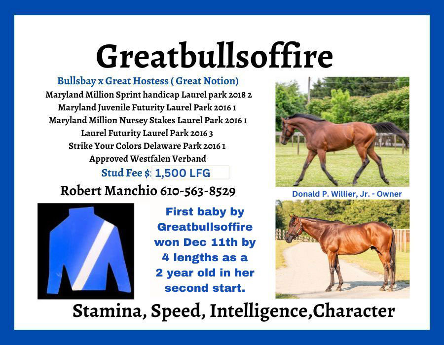 Greatbullsoffire 900 x 700 002