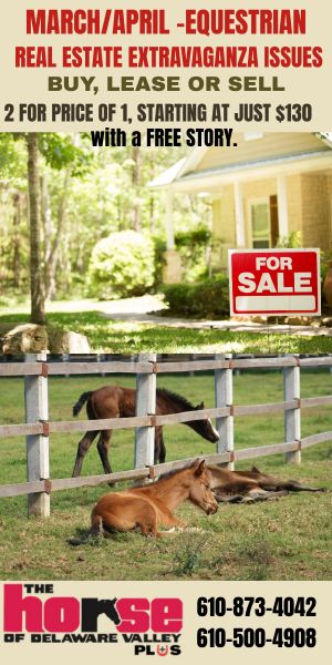 Real estate Promo  2026