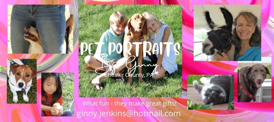 Pet Portraits bottom banner - Ginny