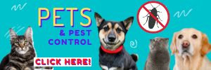 Pets and Pest Control 300 x 100