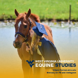 WVU Equine Studies 300x300