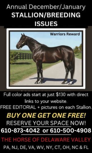 Stallion & Breeding promo 2025