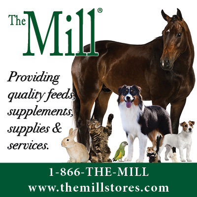 The Mill Stores 