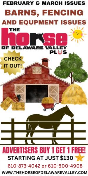 Barns n Equipment Promo 2026