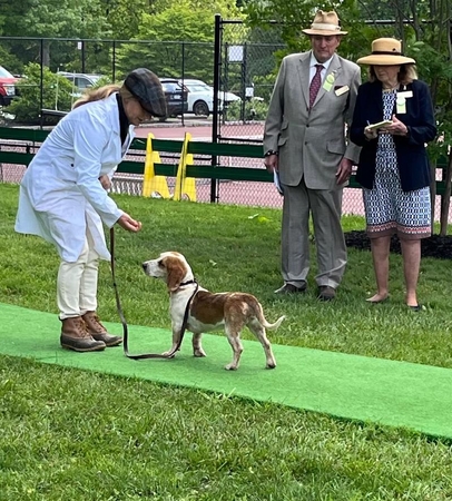 candid Bryn Mawr hound Christianson