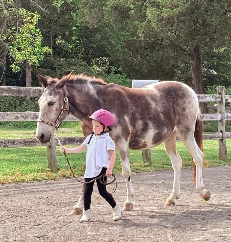 candid boy leading donkey Cobb
