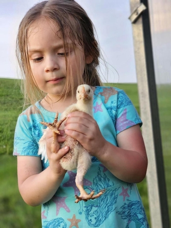 candid child w chick Ziegler