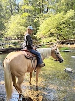candid girl on palomino waterDankanich