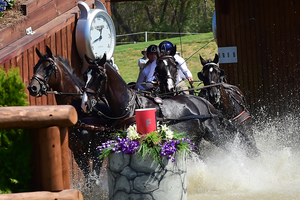 Boyd Excell photo by Shelley Higgins AGM 3807