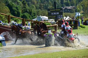 Chester Weber photo by Shelley Higgins AGM 3375