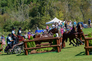 Misdee Wrigley Miller AGM 3586