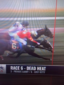dead heat.Lost Kitty and Private Larry