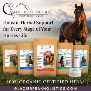 Glacier Peak Holistics