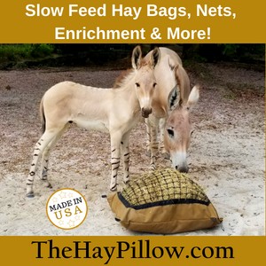 Hay Pillow